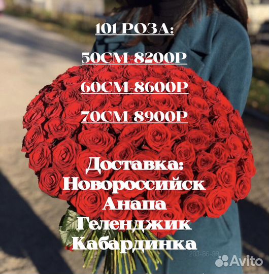 101 Роза Оптом