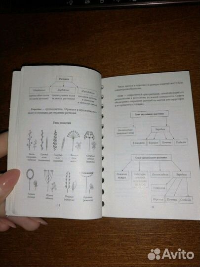Мини справочник по биологии. Подготовка к егэ по б