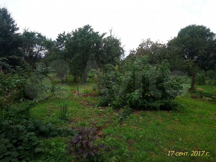 Участок 20 сот. (ИЖС)