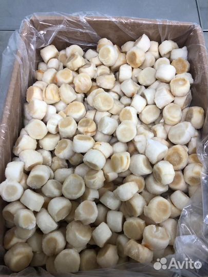 Гребешок курильский, размер М, с/м, Россия