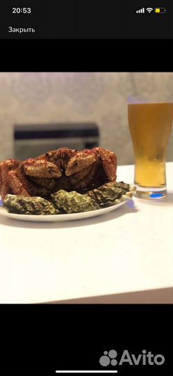 Краб волосатик