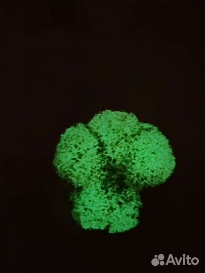 Стабилизированный мох ягель от производителя оптом