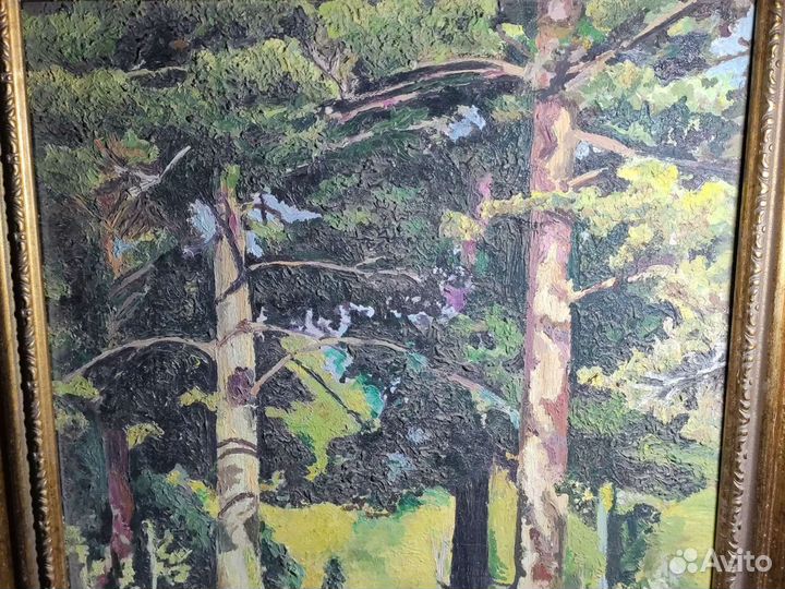 Шишкин Сосны освещённые солнцем картина маслом