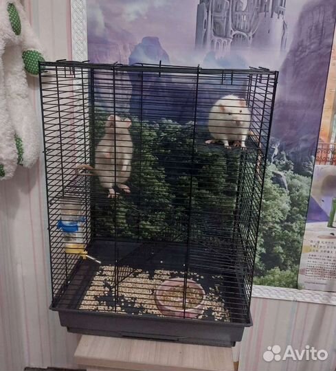 Клетка для грызунов большая