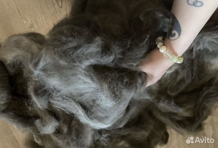 Собачья шерсть пух чистокровной якутской лайки
