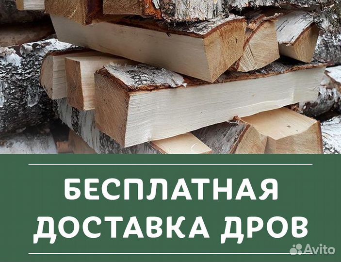 Дрова берёза