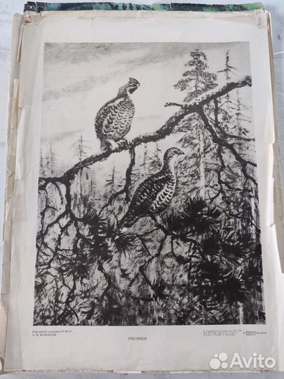 Советские учебные плакаты, иллюстрации к сказкам