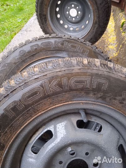 Gislaved Nord Frost 5 175/70 R13 82T