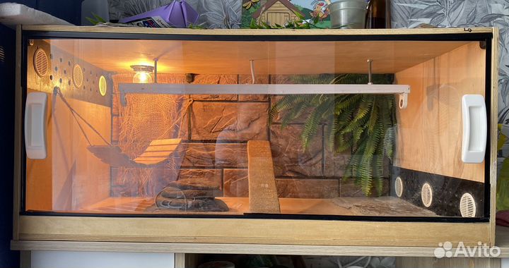 Террариум для рептилий