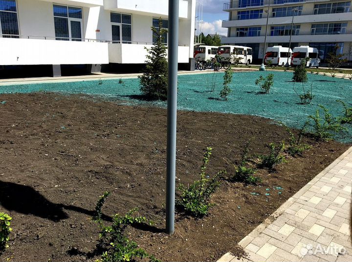 Рулонный газон. Посев газона. Гидропосев