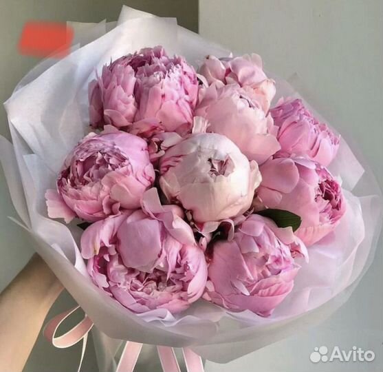 Пионы букет