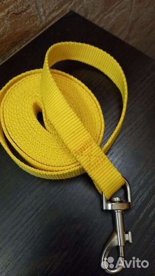 Ошейник и поводок для собак