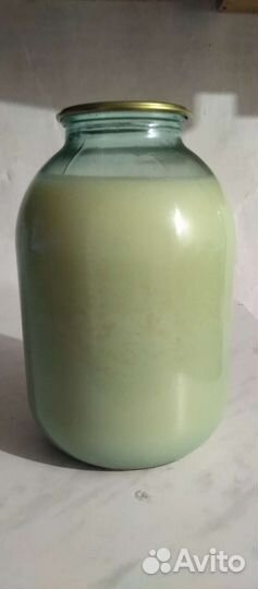 Топленый свиной жир