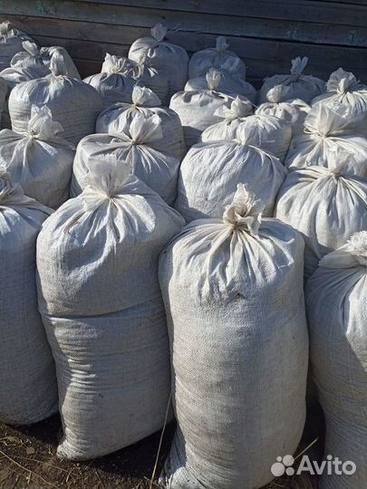 Конский навоз