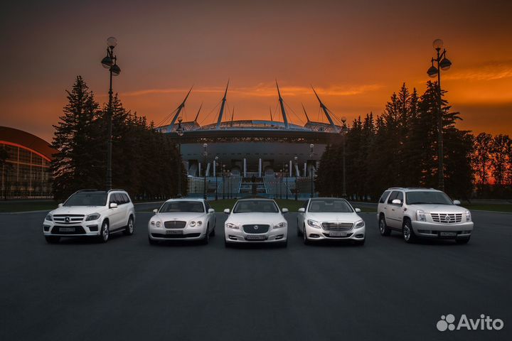 Автомобильный фотограф