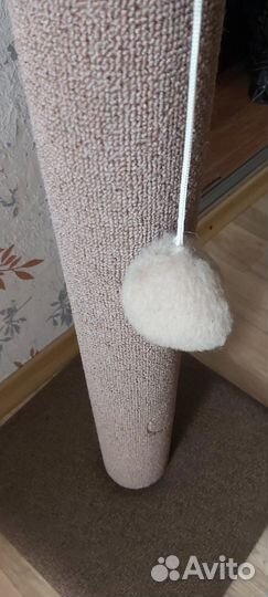 Когтеточка