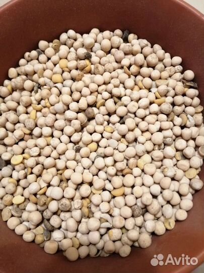 Корма для сельхоз животных и птиц