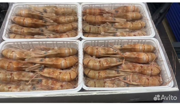 Креветка гребенчатая Ботан