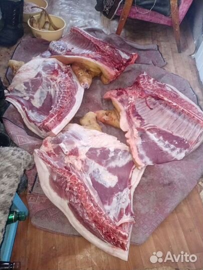 Домашняя свинина