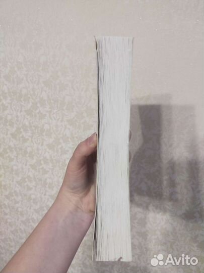 Три чашки чая Грег Мортенсон, Дэвид Релин