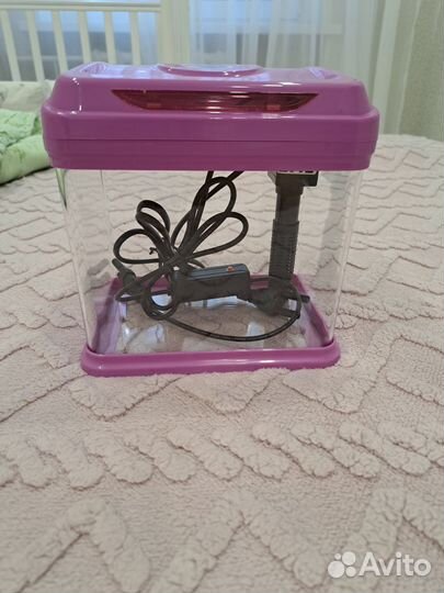 Аквариумные рыбки