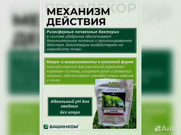 Пробиогранулы pgpr для хвойных