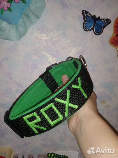 Ошейники для собак