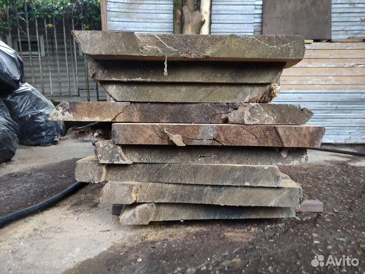 Слэб каштан. Слэб каштана широкий 87см