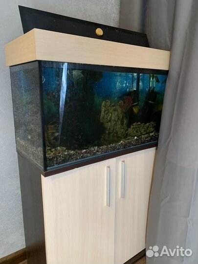 Аквариум с полным комплектом