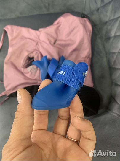 Одежда на чихуа