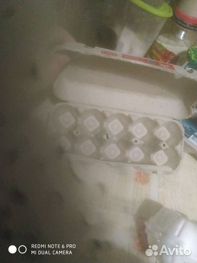 Контейнер для хранения яиц