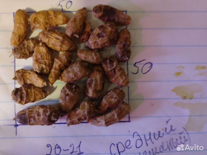 Чуфа (земляной миндаль)