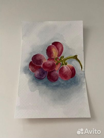 Акварельные картины. Ботанические иллюстрации