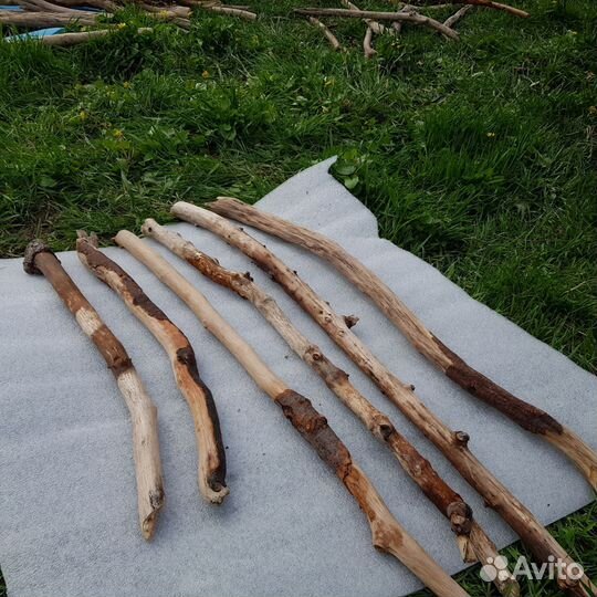 Коряги дрифтвуд из моря