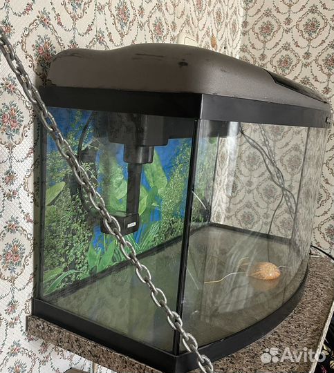 Аквариум aquael 45 литров