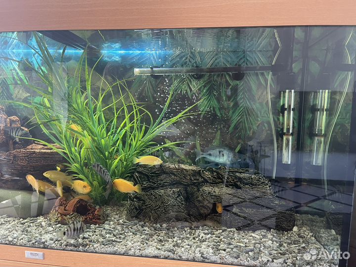 Аквариум