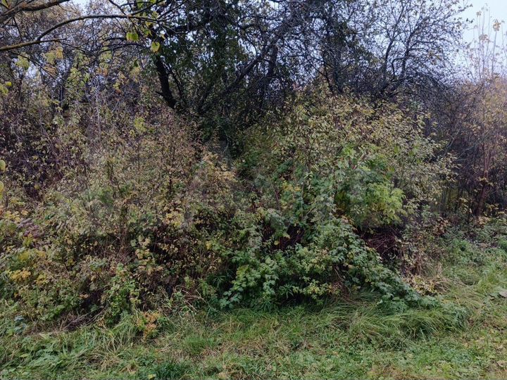 Участок 5,8 сот. (СНТ, ДНП)