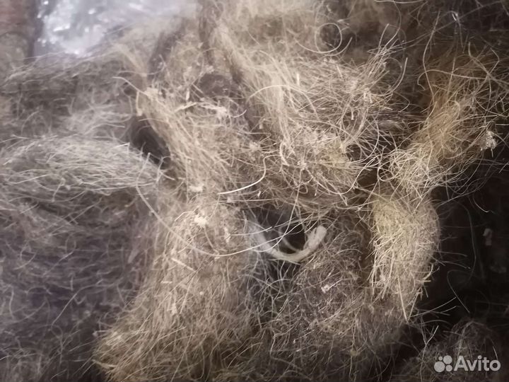 Конский волос для мебели. Б.у. с 1950 гг / 5 кг
