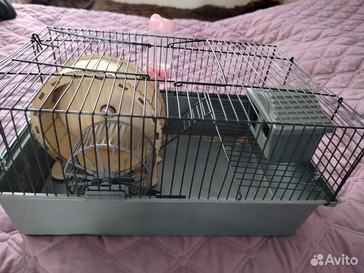 Клетка для джунгарского хомяка