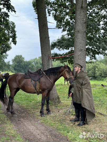 Конные прогулки