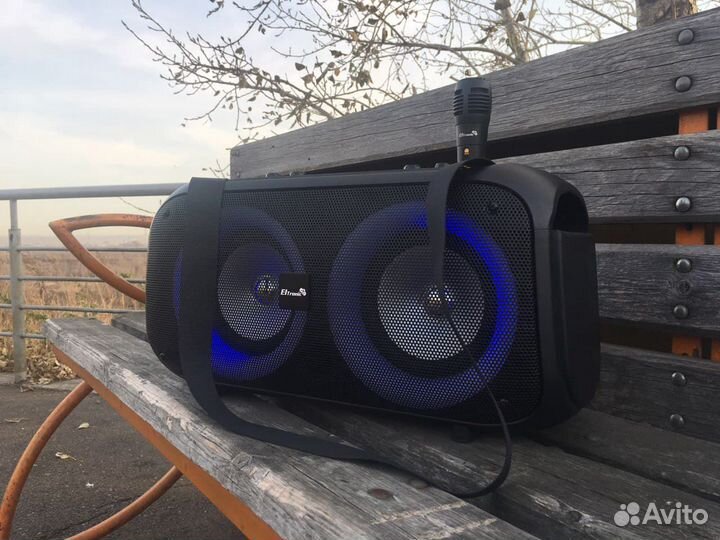 Музыкальная колонка с радио Eltronic