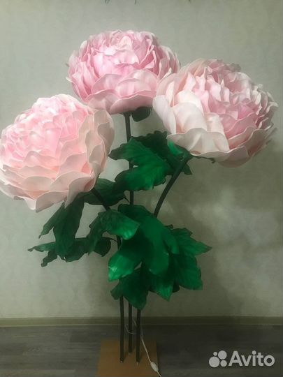 Ростовые цветы