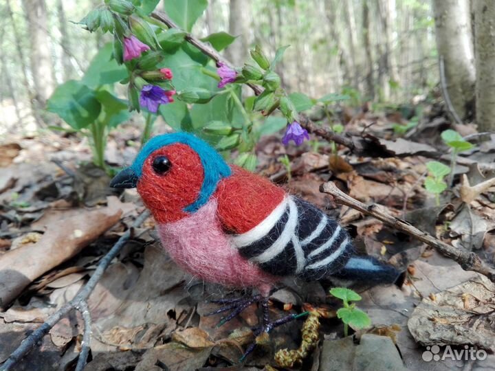 Войлочный зяблик