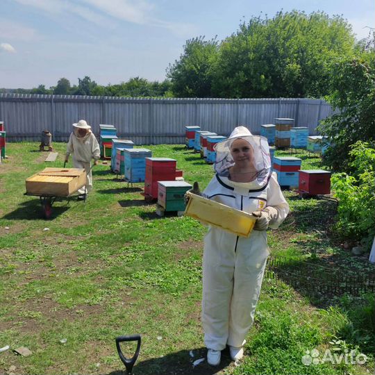 Мед натуральный