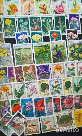 Альбом с марками СССР