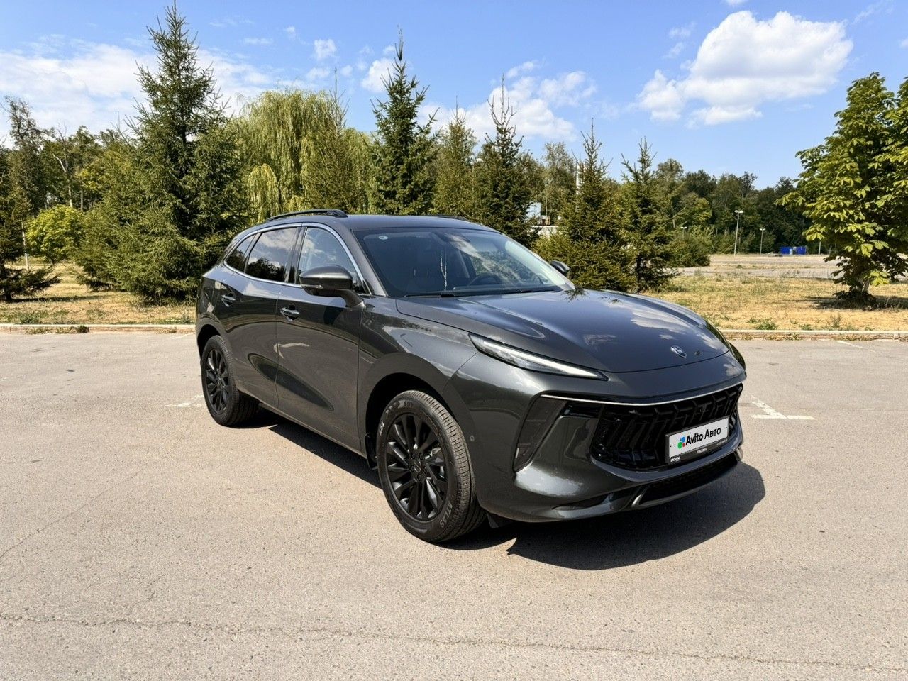 Forthing T5 EVO: фото владельца
