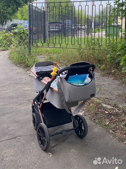 Коляска carello 3 в 1