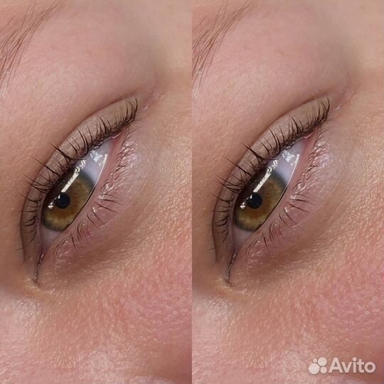 Обучение на бровиста обучение ламинирование