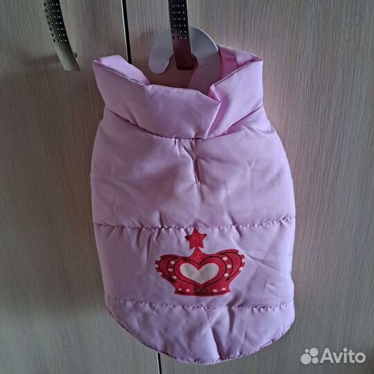 Одежда для маленьких пород собак