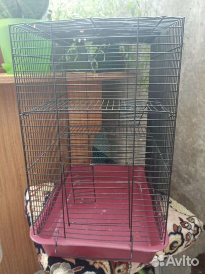 Клетка для грызунов
